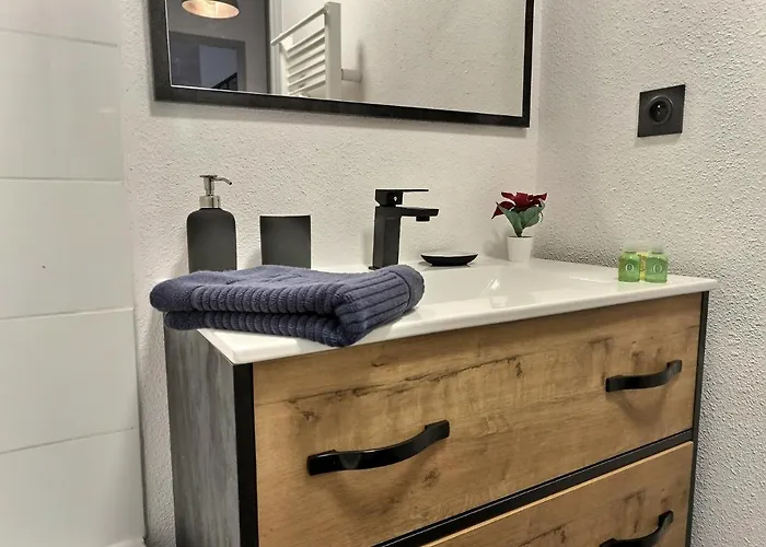 アパート L'atelier St - Gare, Parking Prive - Clim - Piscine アルビ